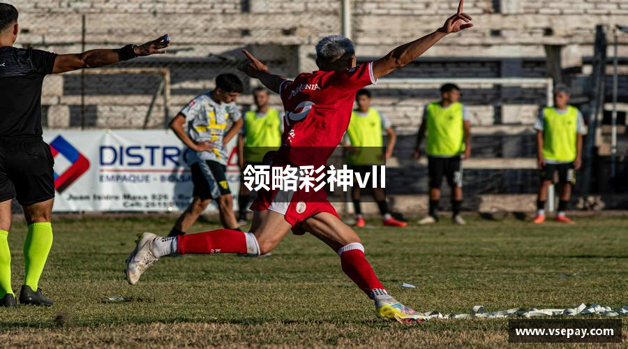 领略彩神vll